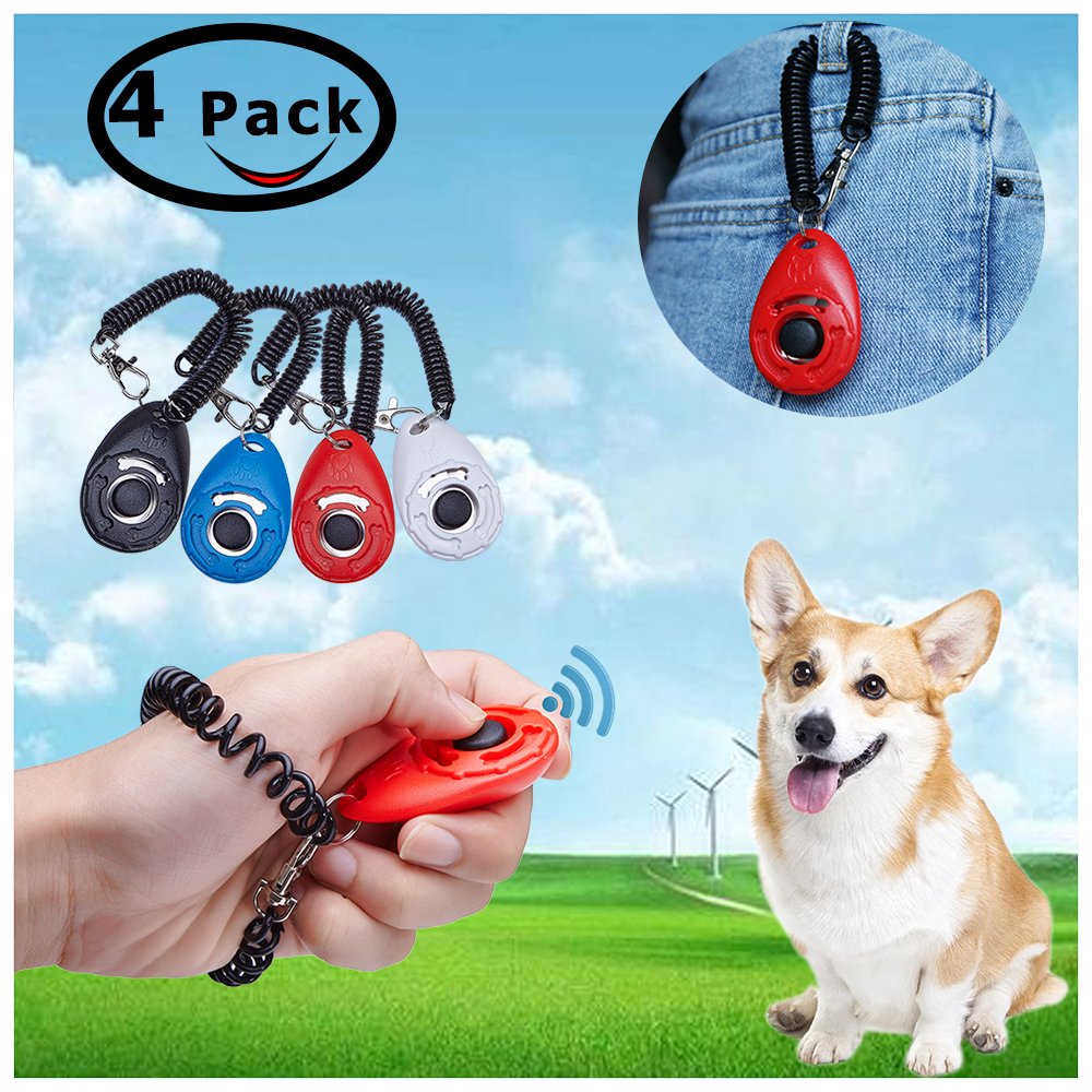 Button Pet Training Clicker with Wrist Strap 4 Piece 4 Color Pack