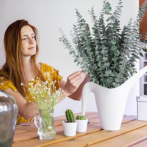 Miniatura 2 de 12 tallos de eucalipto secos para ducha, planta de ducha preservada de 17 pulgadas, hojas de eucalipto reales frescas para colgar en la ducha