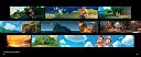 Thumbnail 13