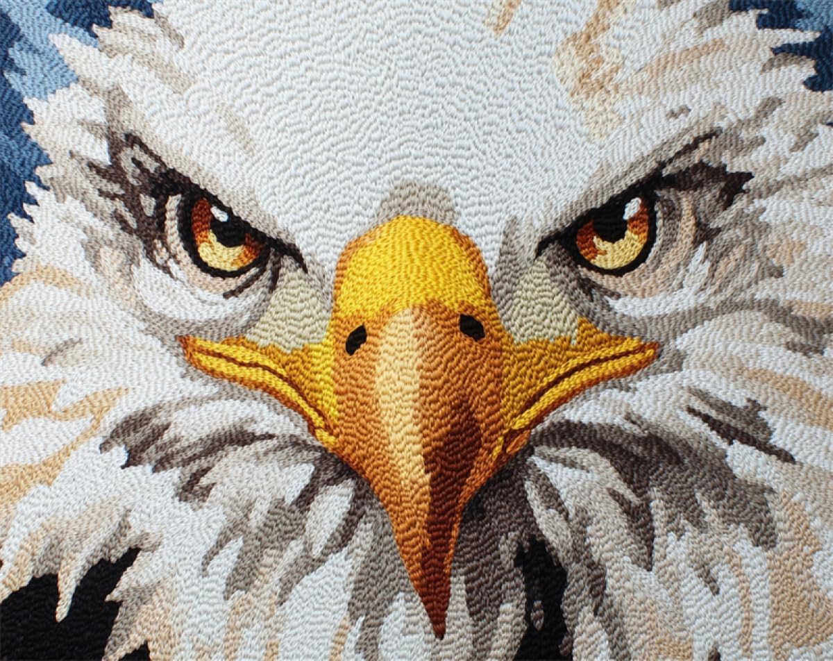 N.LANSHAN Animal Diy Création De Tapis Et Canvas Portrait D'Aigle Kit De Fabrication De Tapis Au Crochet，Kits De Bricolage，Tapisserie，Coussin，Motifs Pré-Imprimés 90x120cm