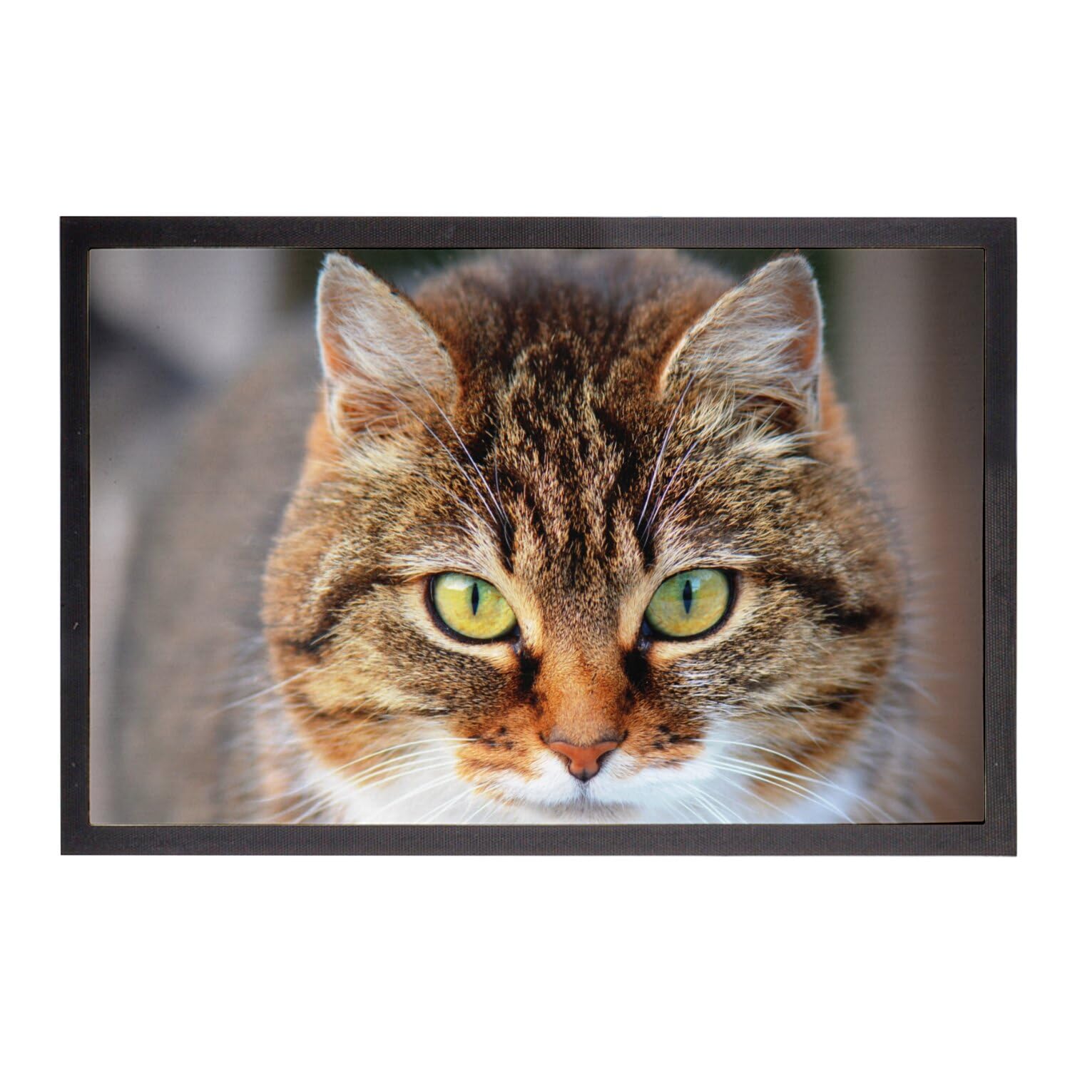 Paillasson chat tigre à poil long tapis entrée yeux vert 60x40cm