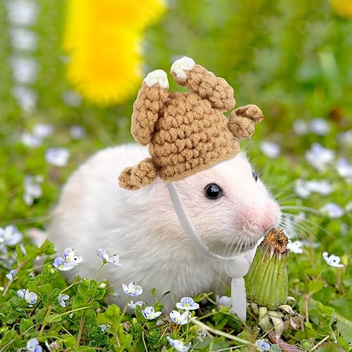 Miniatura 5 de Kajaia 10 sombreros de hámster de animales pequeños, pequeños sombreros de punto a mano para serpientes, mascotas, dragón barbudo, conejillo de