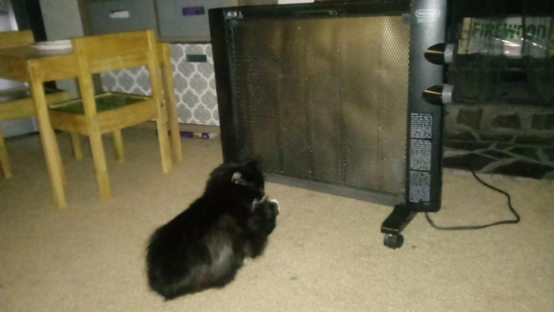 Love this heater! Year after year!