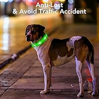 Vista 2 de Weesiber Collares de perro con luces LED recargables, luces reflectantes ajustables para perros para caminar por la noche (verde, S)