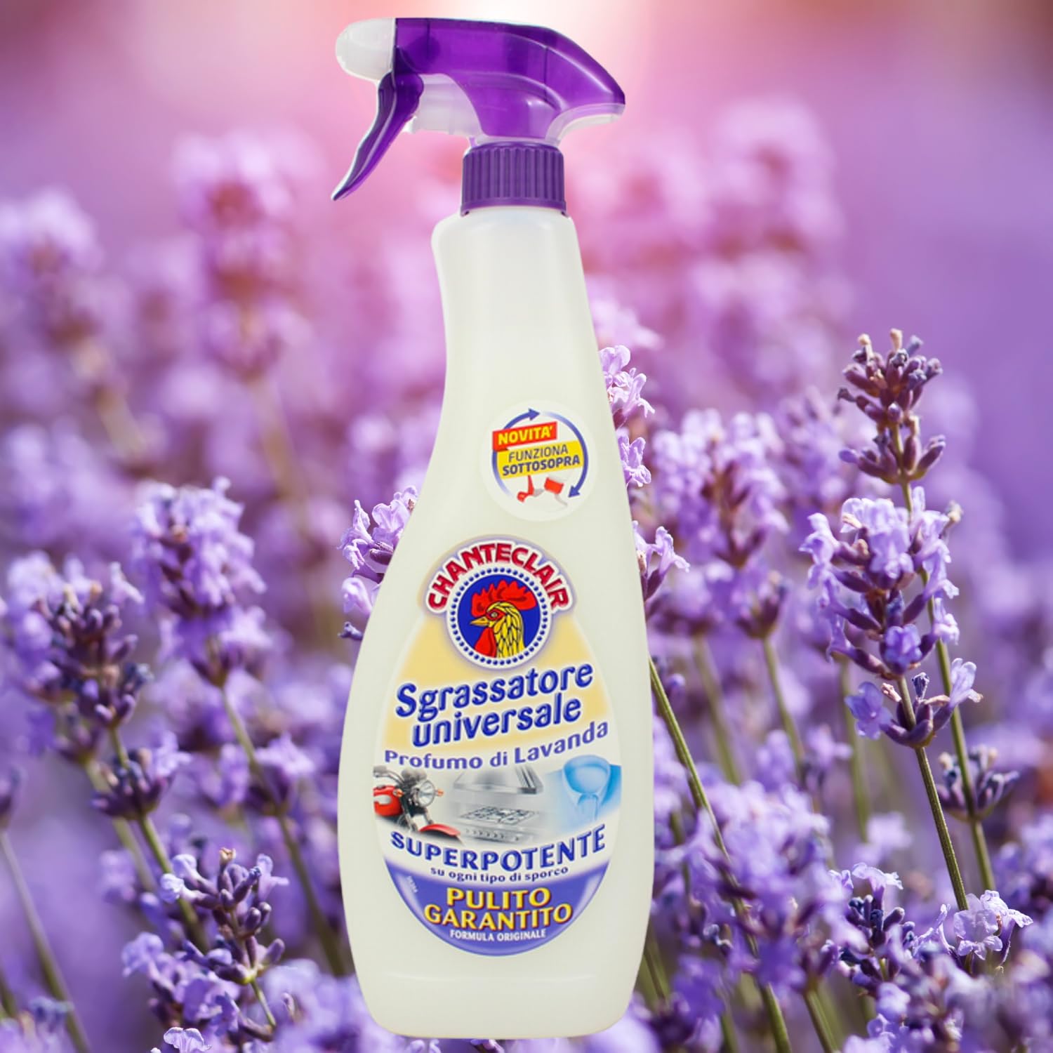 Sgrassatore al Profumo di Lavanda – 600 ml – Pulizia Potente e Rilassante – Variazioni 4/8/12 Pezzi (12 PEZZI)