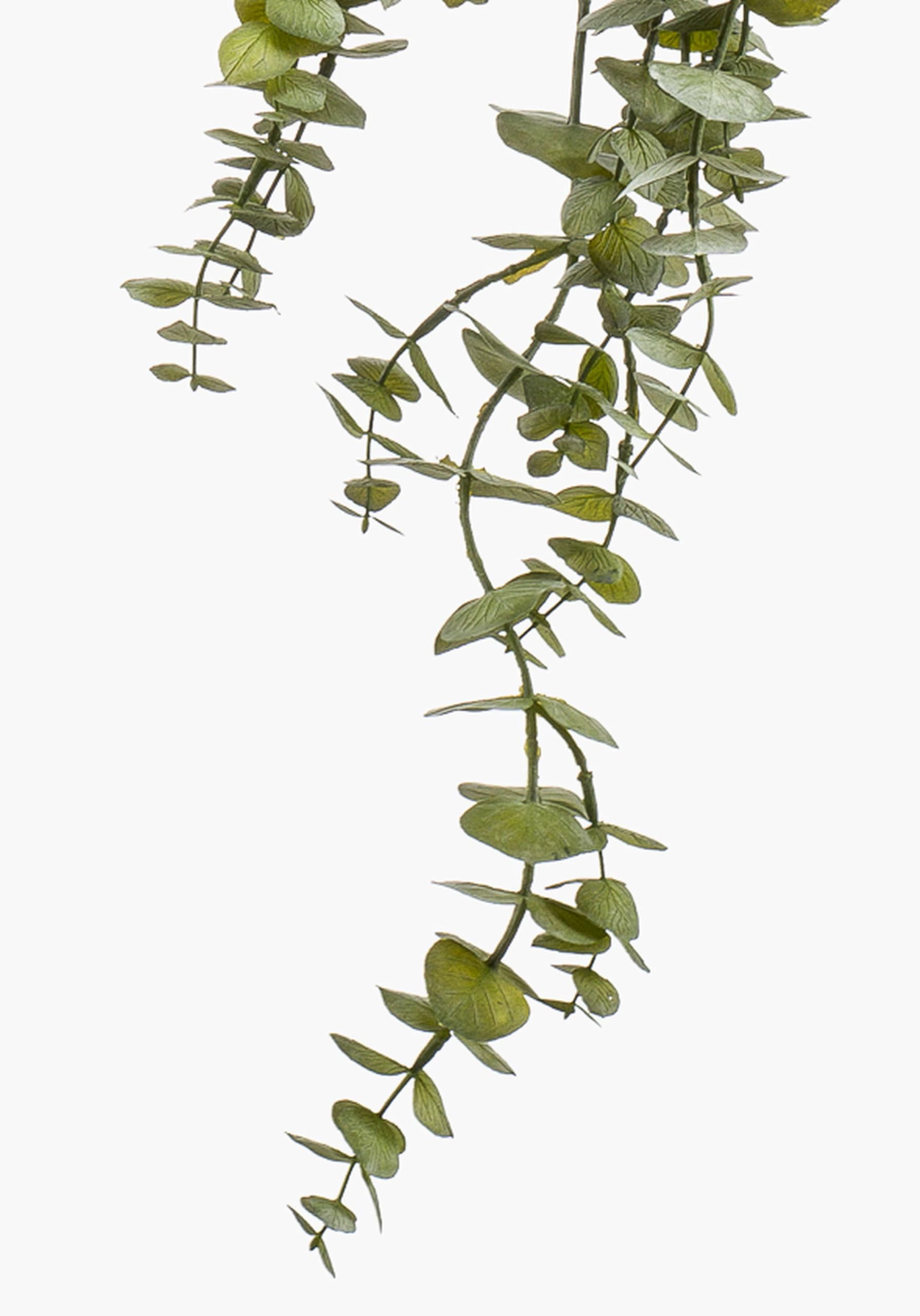 artplants.de Sztuczna gałązka eukaliptusa PINORO, zielona, 120 cm