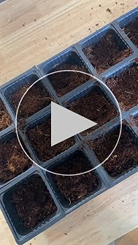 Amazon.com : EZGardenPro Compressed Coco Coir Brick (650