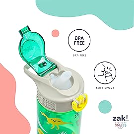 Zak Designs Disney SuperKitties Sage Kids Water Bottle For School or Travel, 16oz Durable Plastic Water Bottle With Straw, Handle, and Leak-Proof, Pop-Up Spout Cover (Ginny, Sparks, Buddy, Bitsy)