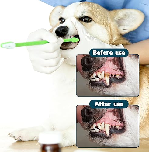 Miniatura 4 de Kit de cepillado de dientes de perro de 10 piezas, cepillo de dientes para mascotas de doble cabeza, cepillo de dientes multicolor para gatos,
