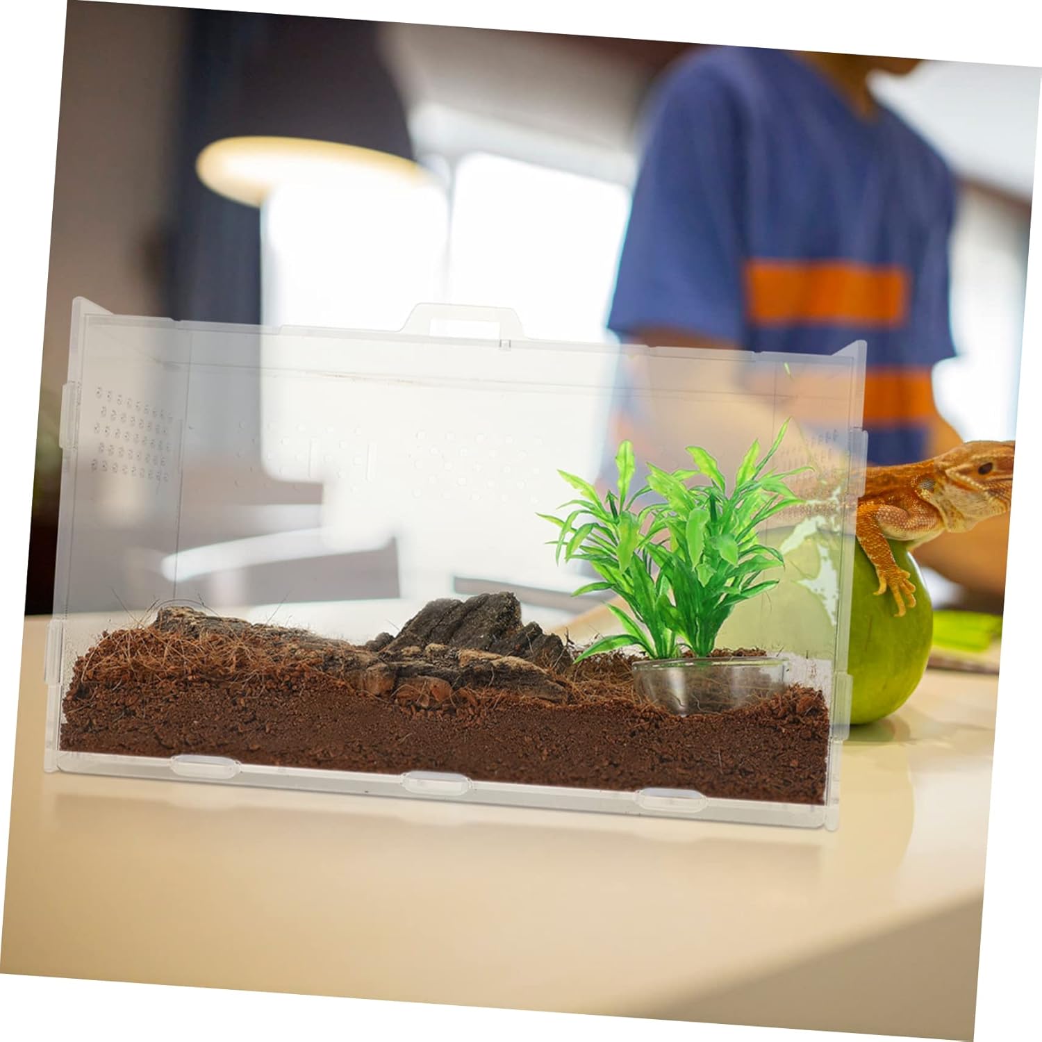 Turtle Tank Decor Snake Cage Acrylic Enclosure Gecko Home Easy to Clean Mantis Box