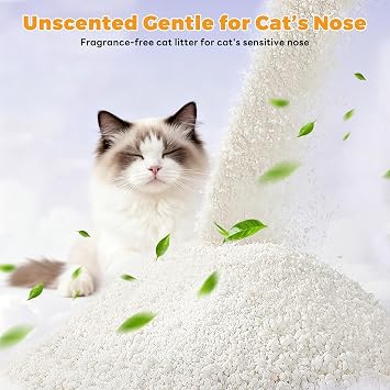 Premium Cat Litter, Non-Stick Strong Clumping Cat Litter, 100% Natural Cassava Kitty Litter, Multi-Cat/Unscented Dust-Free/Odor Control/Ultra Absorbent/Less Scattering - 18 lbs - 2 Pack