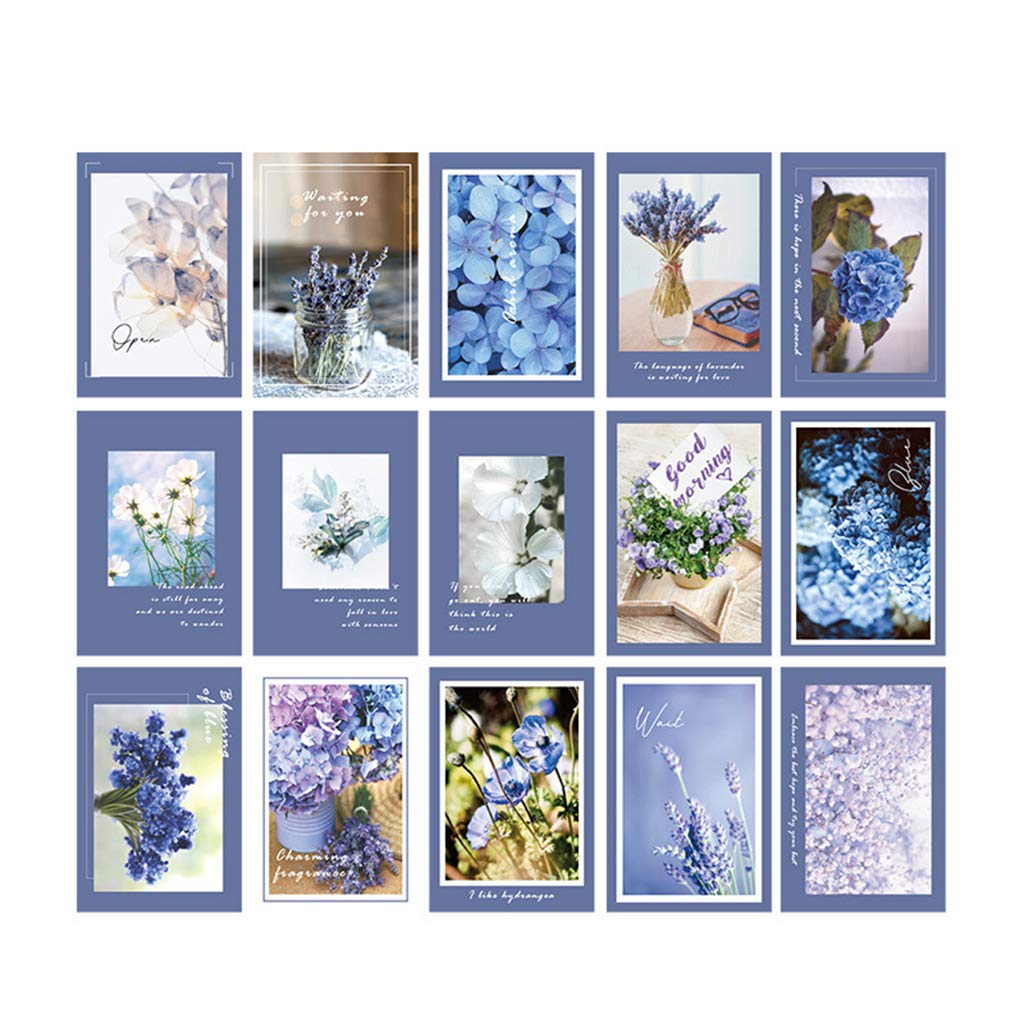 buy-ewat-15pack-roses-wall-collage-kit-aesthetic-pictures-bedroom