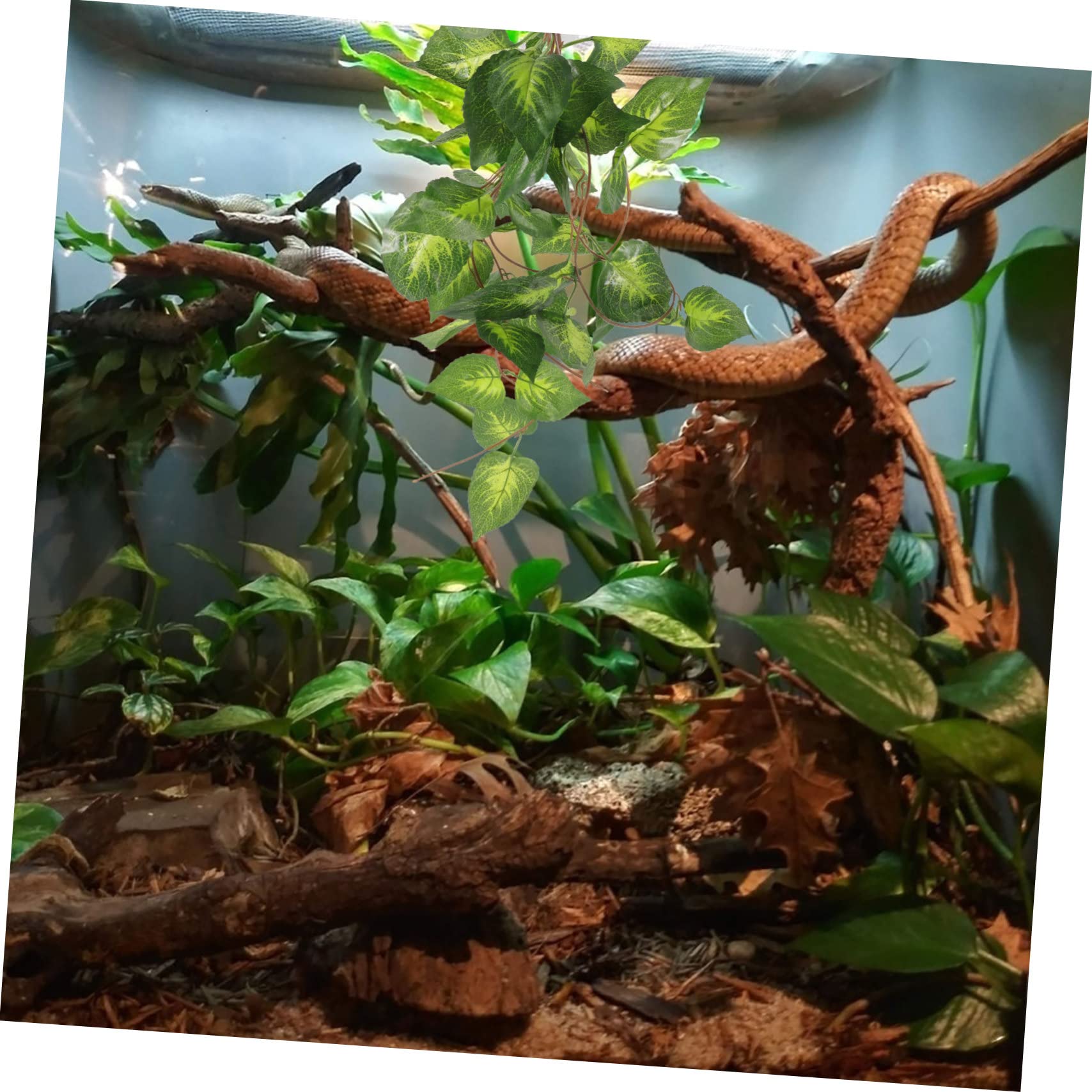 DOITOOL 5 Piezas Planta de simulación de Oruga decoración de vides Falsas contenedores de Vidrio Animal Plantas Artificiales Planta Falsa de Acuario Planta de pecera Hojas