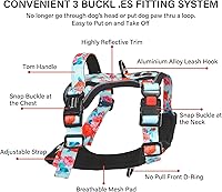 Vista 92 de Petmolico - Juego de arnés para perro sin tirones, 2 correas de sujeción con asa de fácil control, chaleco reflectante para razas pequeñas, arnés
