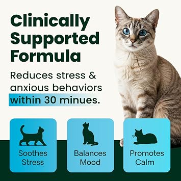 VetriScience Calm & Confident Powder, Composure Calming and Anxiety Supplement for Cats, Reduce Stress and Fear, Ideal for Travel, Vet, Grooming and Routine Changes, Cheese & Chicken Flavor, 60 Scoops
