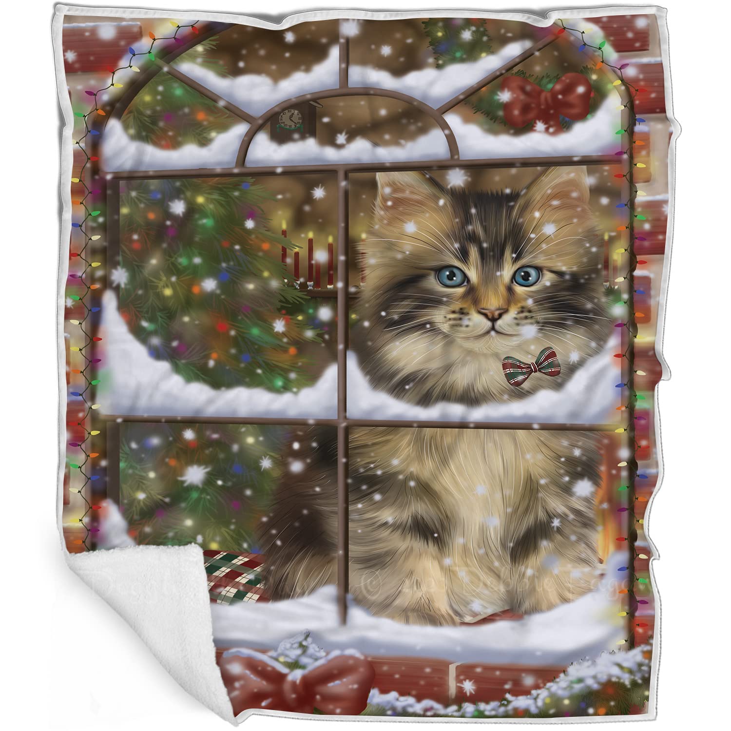 Doggie of the Day Maine Coon Cat Blanket - Please Come Home for Christmas - Super Soft & Warm Pet Theme for Sofa or Bed, Warm Fleece, Sherpa or Woven Material BLNKT157325 (60x80 Fleece)