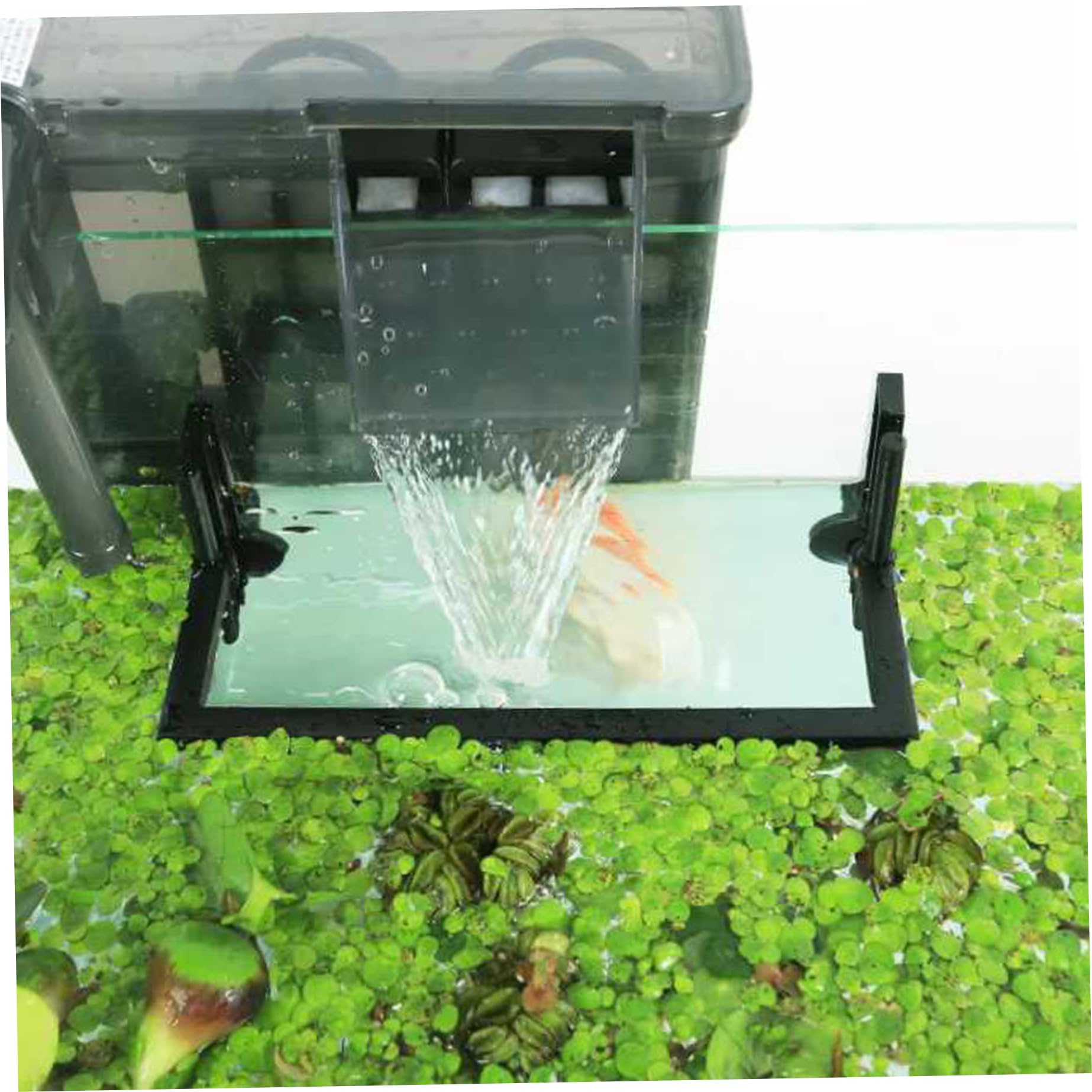 1set de Poisson-Anneau d'alimentation, barrière de Plante Flottante se sépare