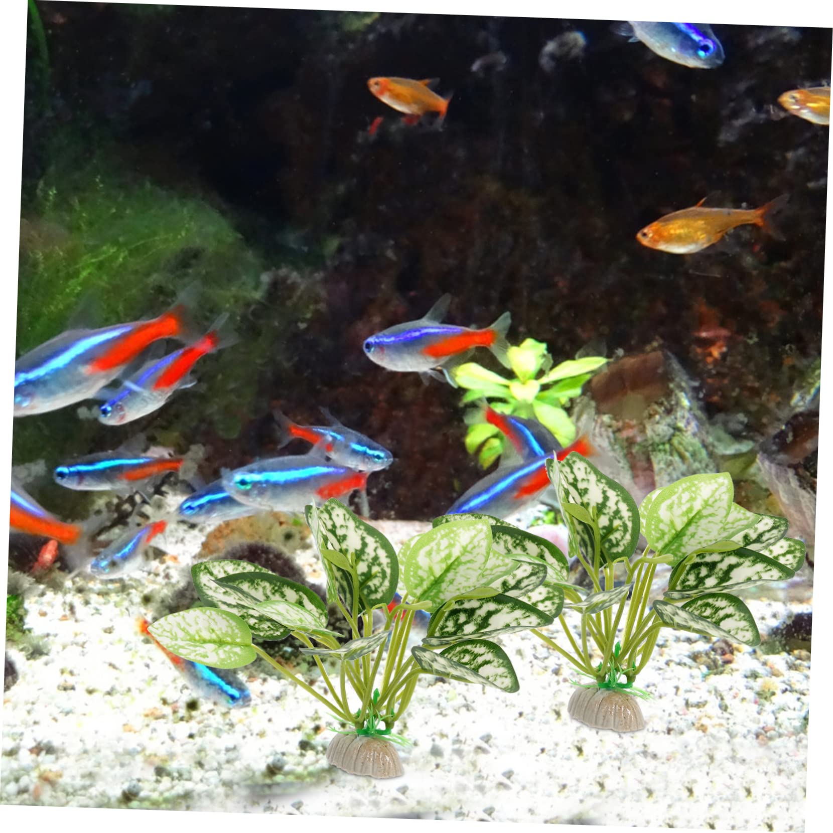 Sosoport 4 Sätze Aquarium Landschaftsbau Wasserpflanzen Dekorationen Für Aquarien Luft Teiche Kunstpflanze Wassergrasdekor Dekorative Aquariumpflanze Plastik Green 6 Stück * 4