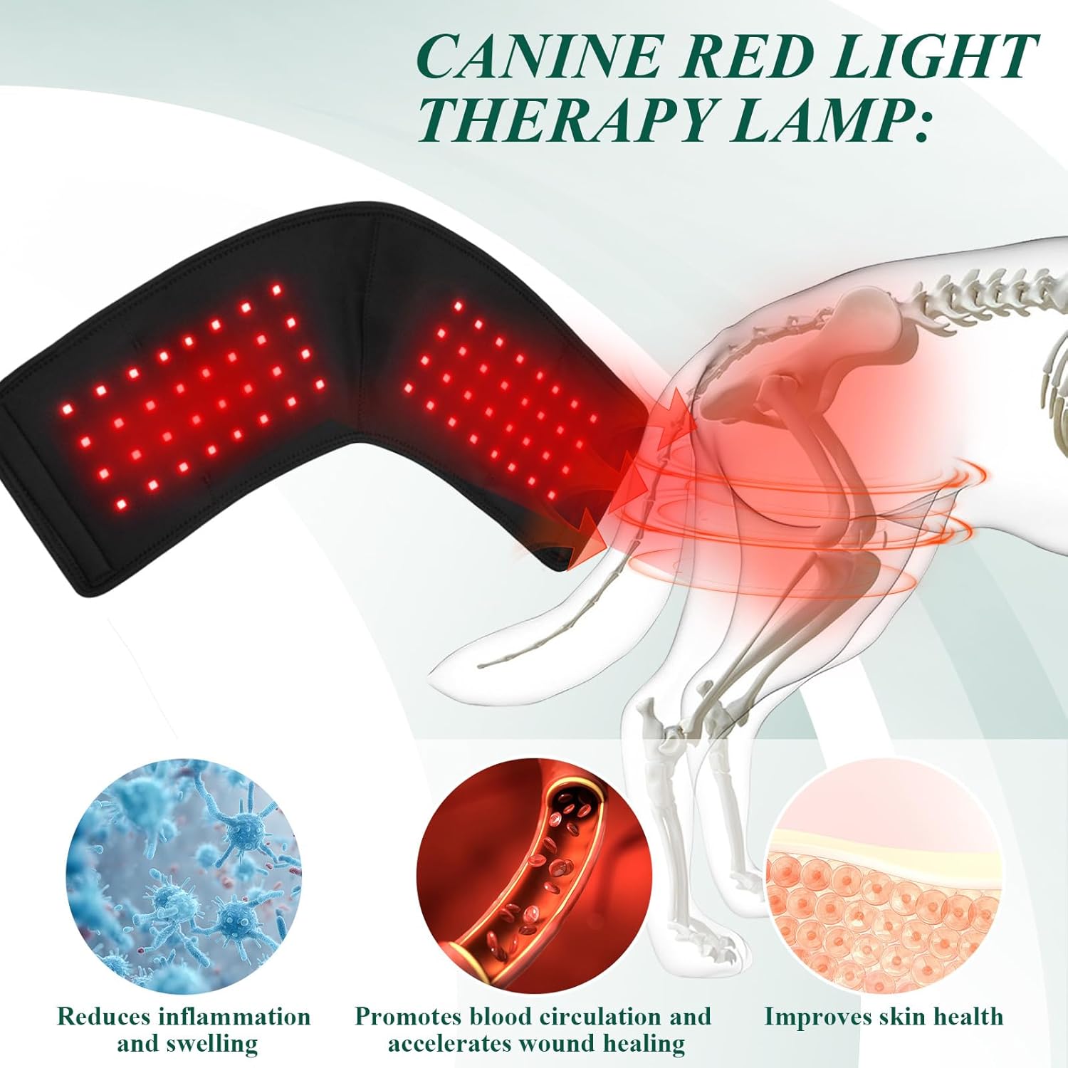 Super Saving Event At Seymour!