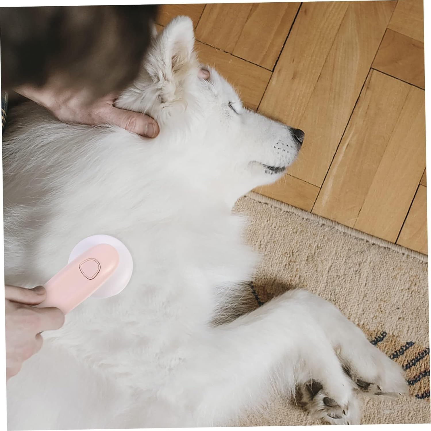 POLGDW Pet Massage Comb Cat Hair Removal Brush Kitten Slicker Brush Slicker Brush for Grooming Brush Comb for Cat Dog Bristles Brush for Matted Dog Pet Grooming Tool Cat Brush Abs