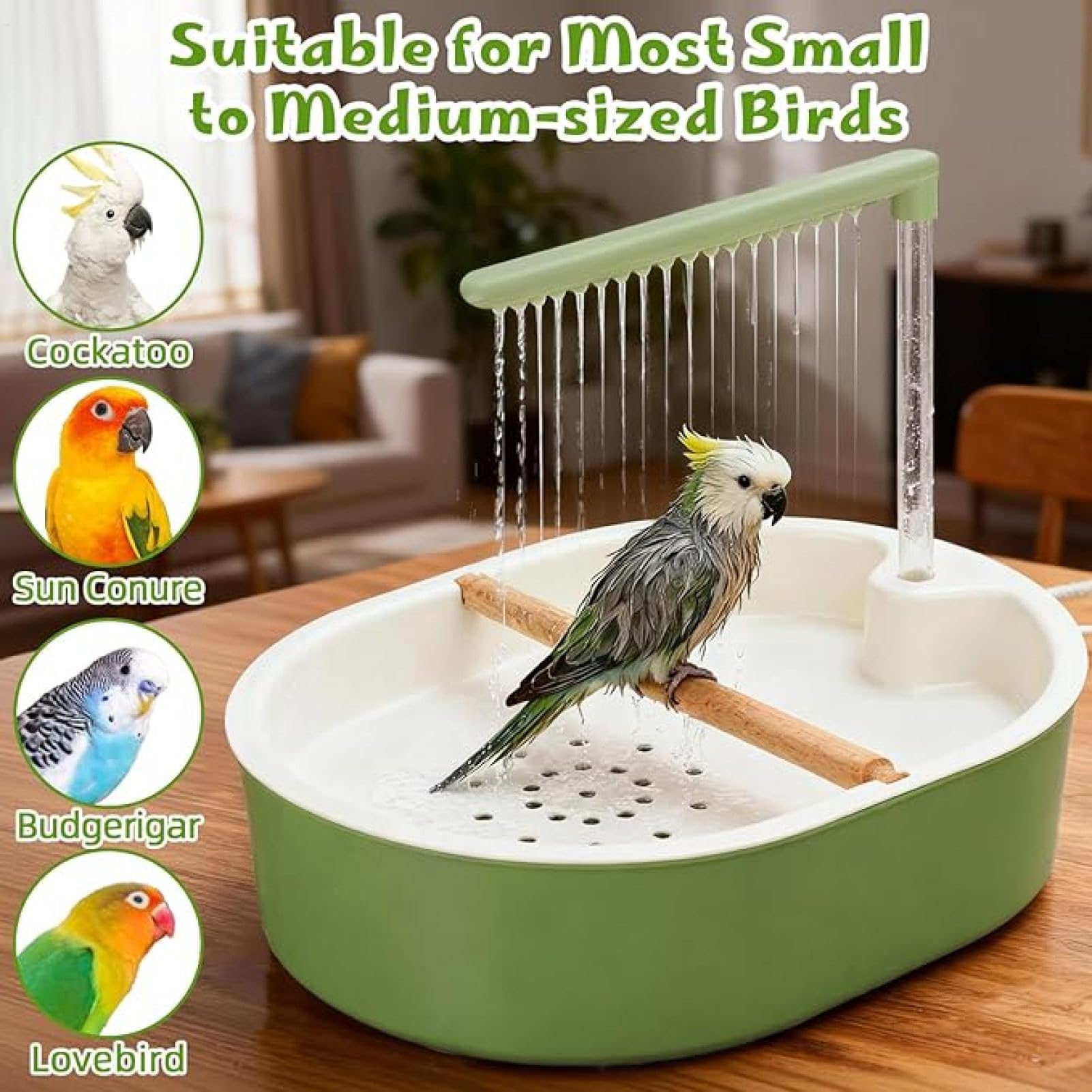 Douche pour Perroquet | Bain d'oiseaux Automatique avec Eau en Circulation | Pompe Silencieuse Et Chargement USB | Accessoires pour Cage À Calopsittes | Fournitures pour Perruches