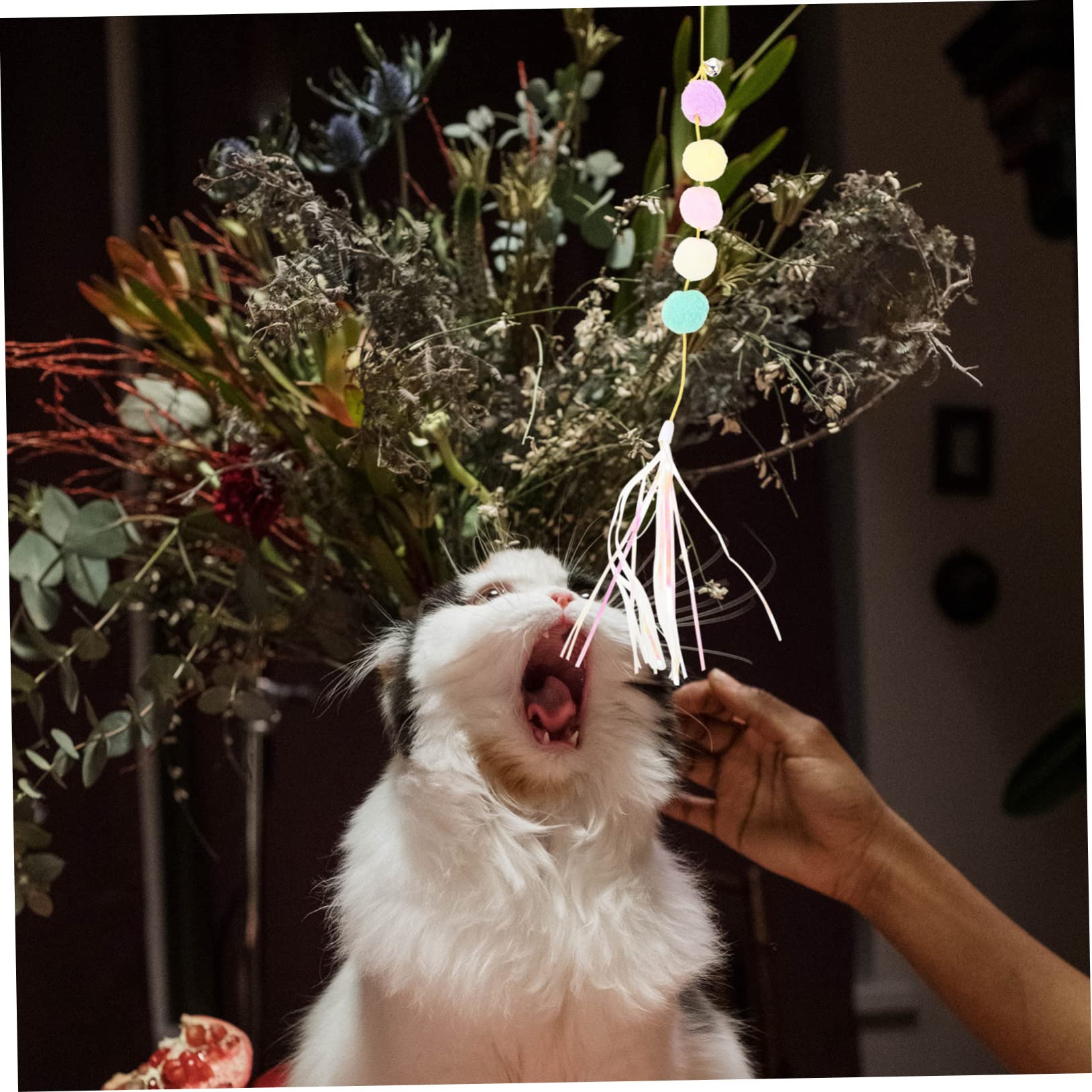 POPETPOP 12stücke Teiliges Interaktives Katzenspielzeug Katzenangel Und Bungee-Seil Selbstunterhaltung Für Kätzchen Federn Geräuschspielzeug Und