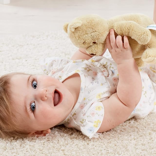 Foto 5 de 8 de Disney DN1460 Pooh & Friends Classic Winnie The Pooh Soft Toy, Beige