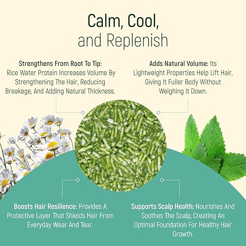 Miniatura 51 de Barra de champú sólida y jabón para el cabello con efecto acondicionador, barras de champú 100% orgánicas para el cabello con aceites esenciales