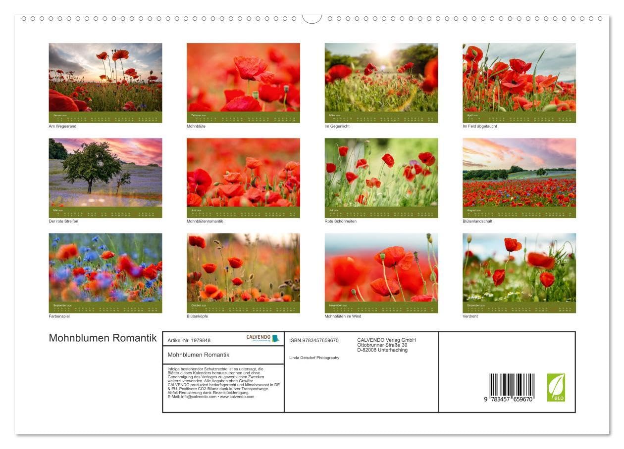Mohnblumen Romantik (hochwertiger Premium Wandkalender 2026 DIN A2 quer), Kunstdruck in Hochglanz: Mohnblumenfelder und Blüten (CALVENDO Orte)