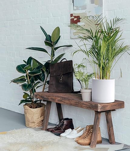 Miniatura 13 de D'vine Dev Paquete de 2 macetas de plástico modernas de 6.5 pulgadas, macetas de jardín pequeñas para plantas con agujeros de drenaje y platillos