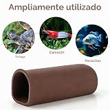 Ver la foto 4