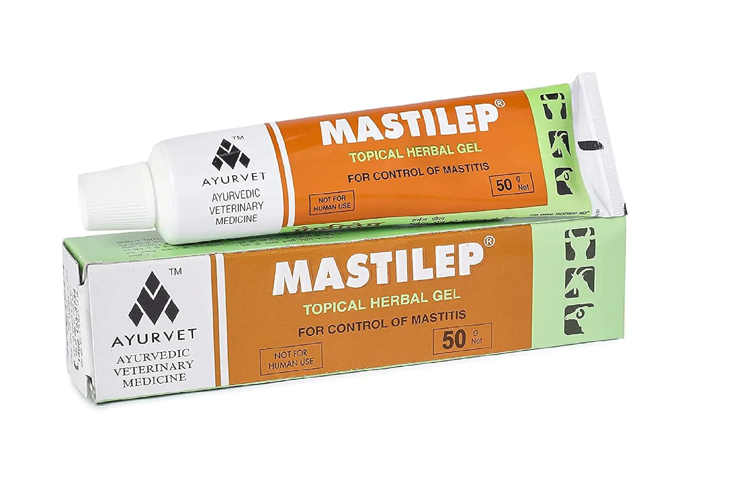 Ayurvet Herbal Mastilep Topical Gel for Control of Mastitis Skin for