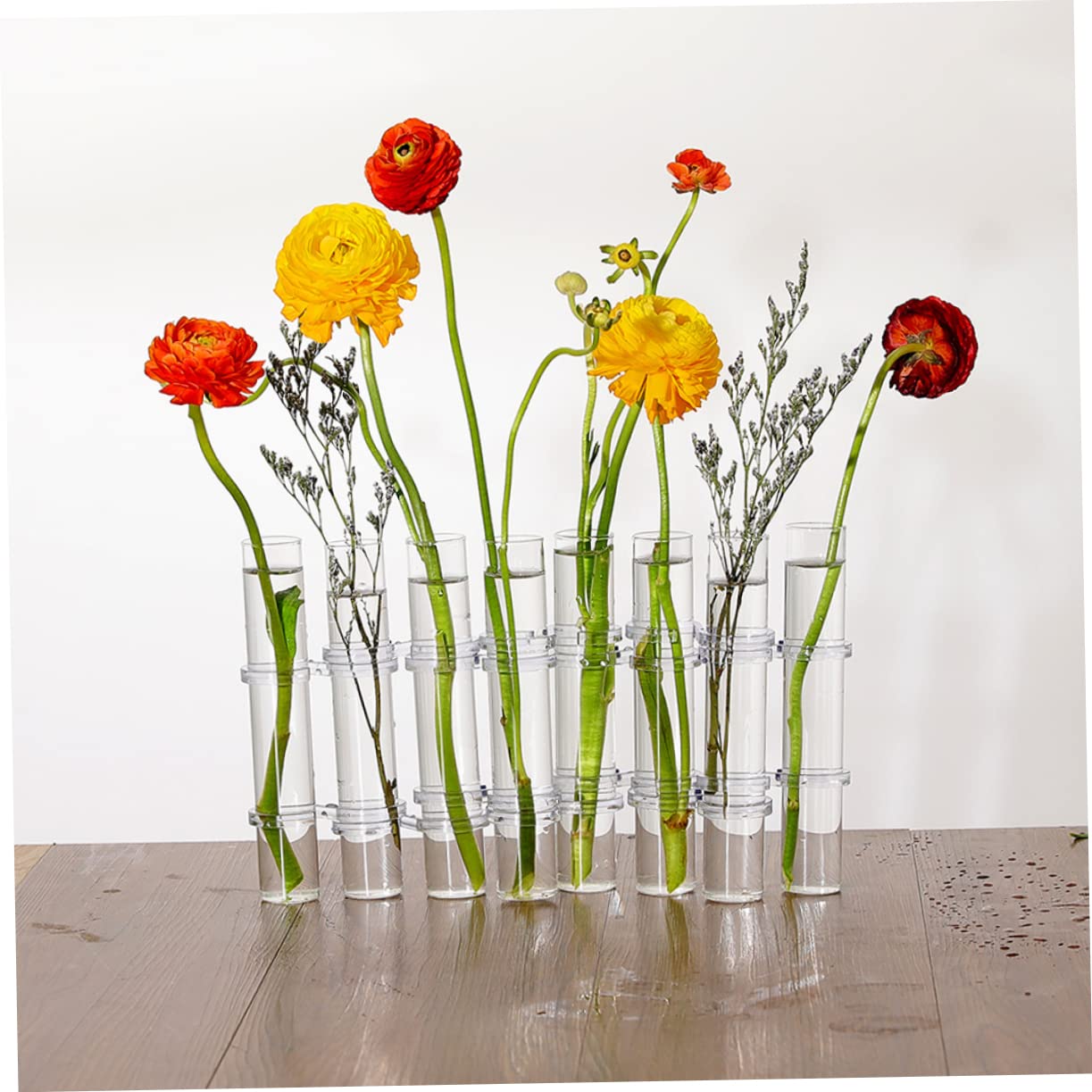 Vase en Verre Transparent 1 Set pour Tubes de Propagation de Plantes