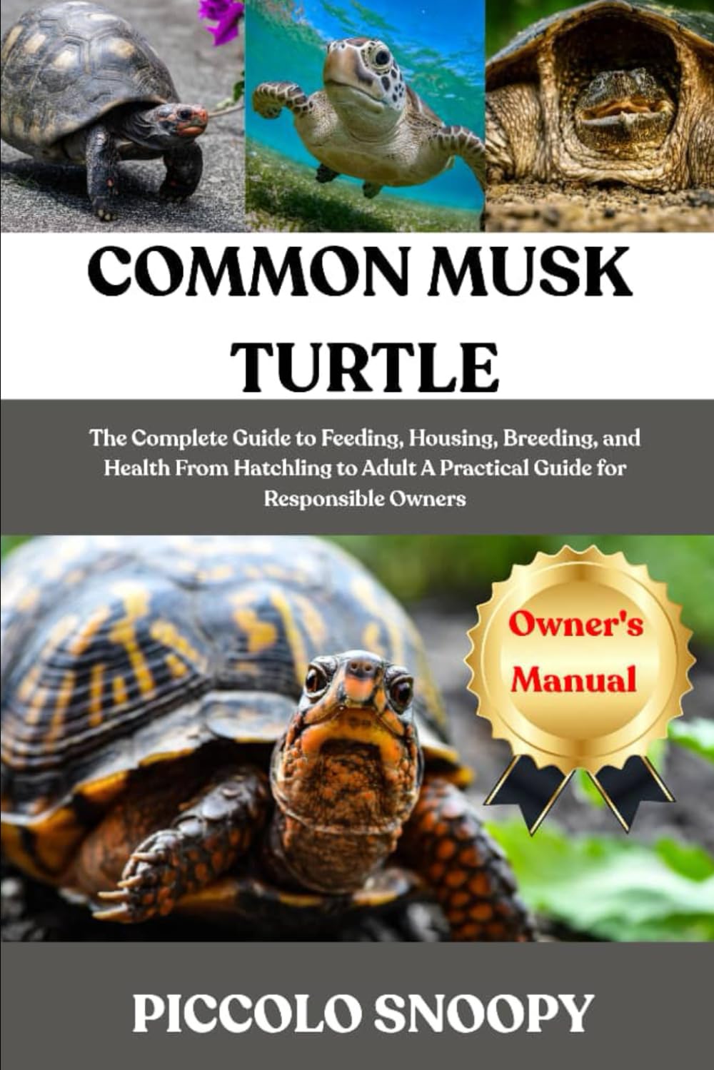COMMON MUSK TURTLE CARE: The Complete Guide to Feeding, Housing, Breeding, and Health From Hatchling to Adult A Practical Guide for Responsible Owners