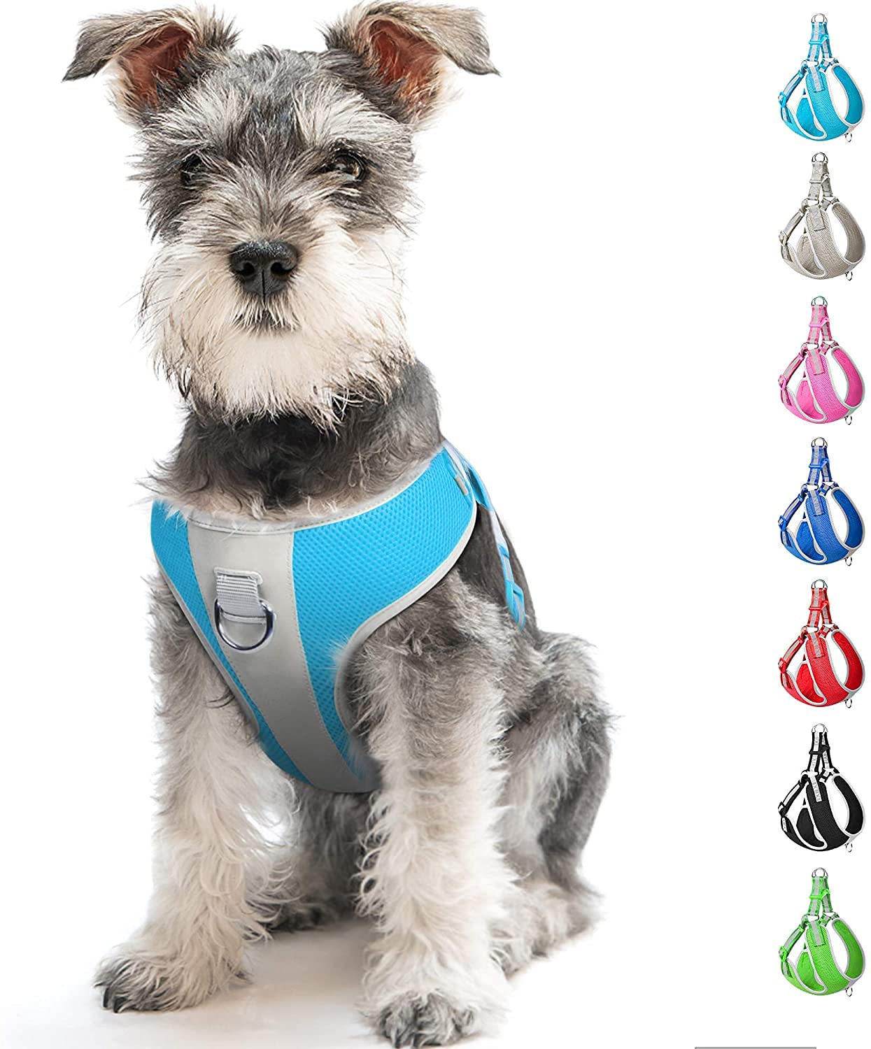 Fida Hundegeschirr Mit Leine – Step-in Design, Atmungsaktiv, Reflektierend, Größe S, Blau