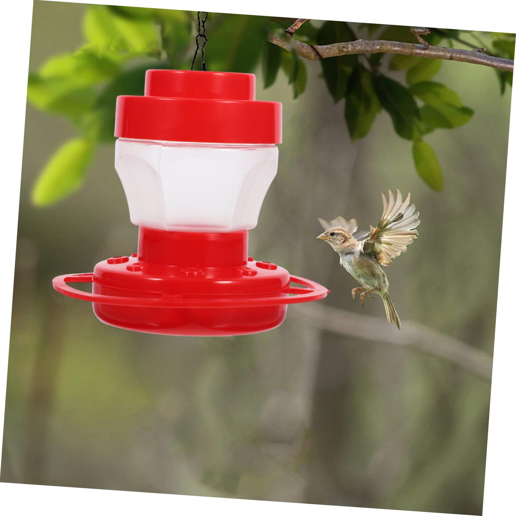 Yardwe 5 Comederos para Pájaros para Patio Aire Comederos para Pájaros para Exteriores Comederos para Pájaros Comederos para Pájaros Colgantes para Exteriores Organizador