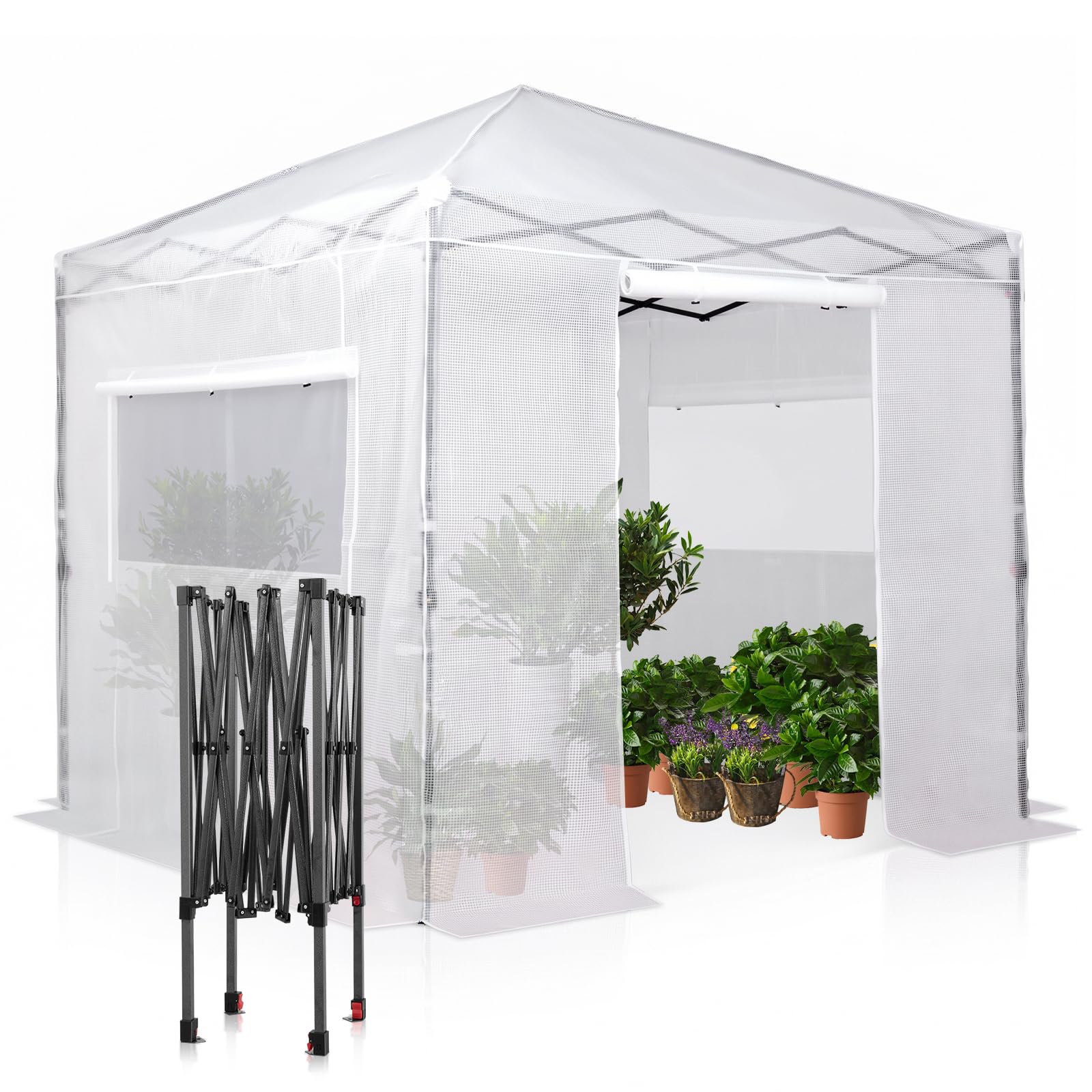 EAGLE PEAK 8x8 Easy Setup Pop Up Greenhouse, Clear/White