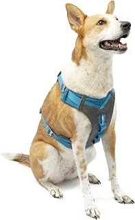 Kurgo Journey Air Dog Harness for Everyday Adventure, Reflective, Active Harness, Dog Running Harness, Dog Hiking Harness, Dog Walking Running, Blue/Grey, Large