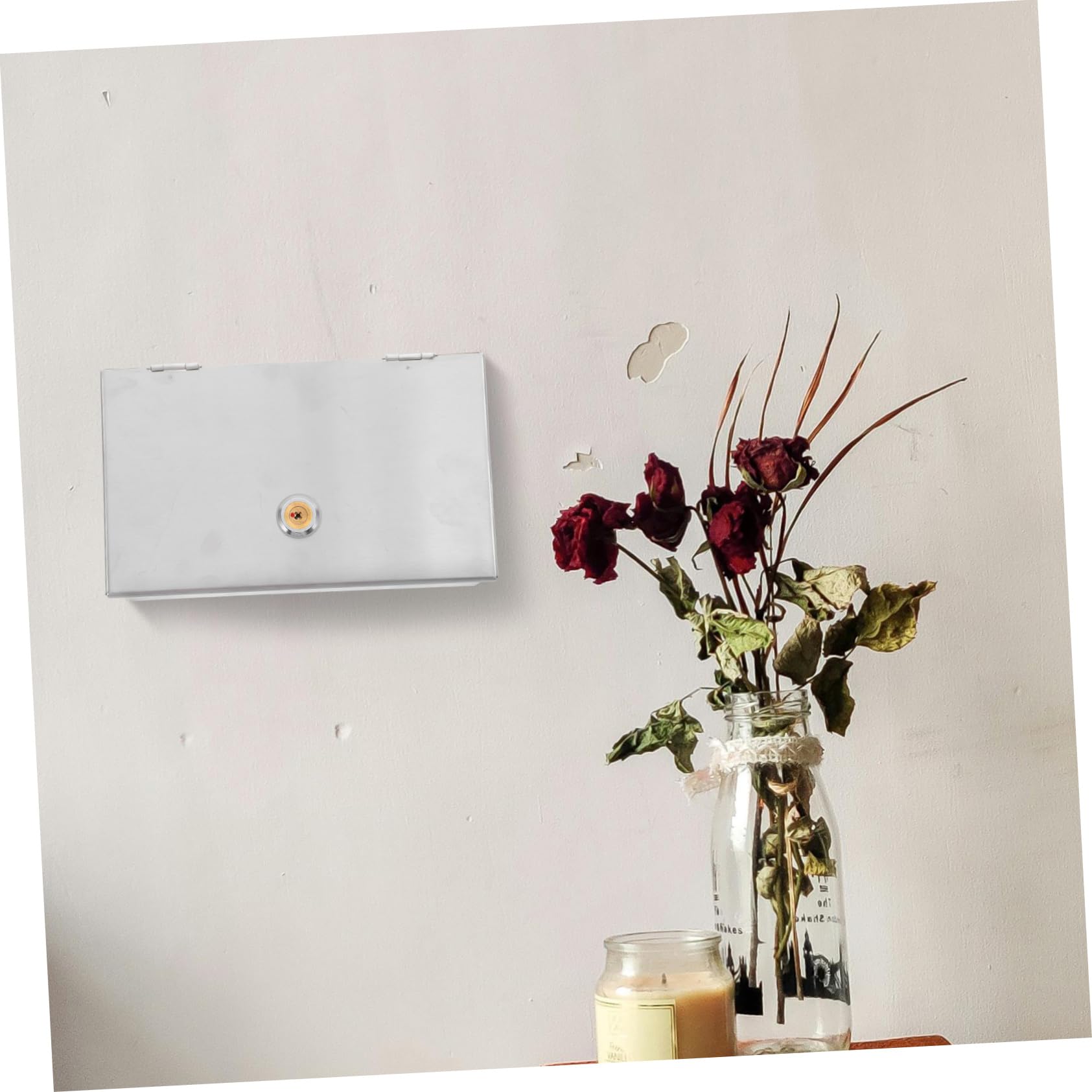 Caja Protectora para Cerradura de Acero Inoxidable Enchufe de Pared