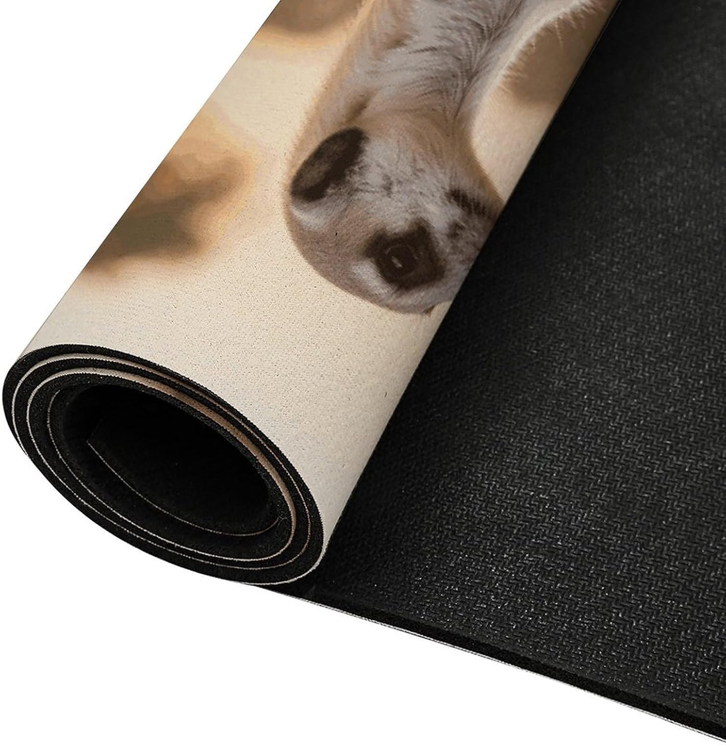 Diatomaceous Earth Bath Mat Round Corners Meerkat Animal Printed Anti-Slip Bathroom Mat Rug for Shower Sink Bathtub Toilet 16x24 Inch