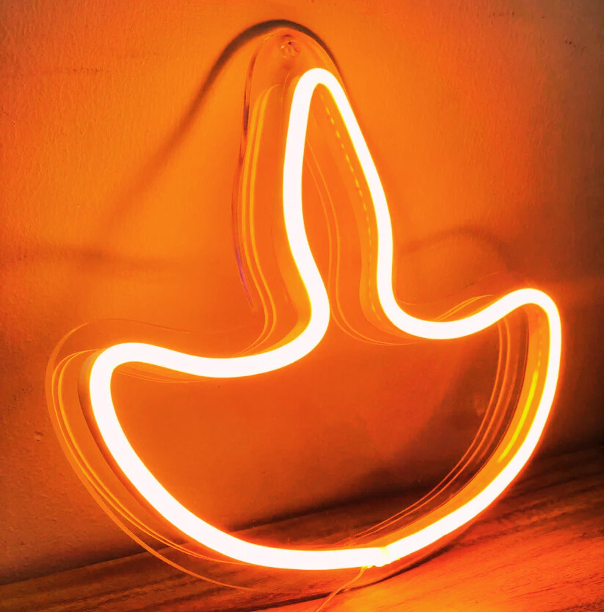 SIGNEX PRINT MEDIA Diwali Diya Neon LED Strip Lights – Multicolor Rope Lights for Home, Mandir, and Pooja Room Decor | Indoor & Outdoor AC Electric Plug