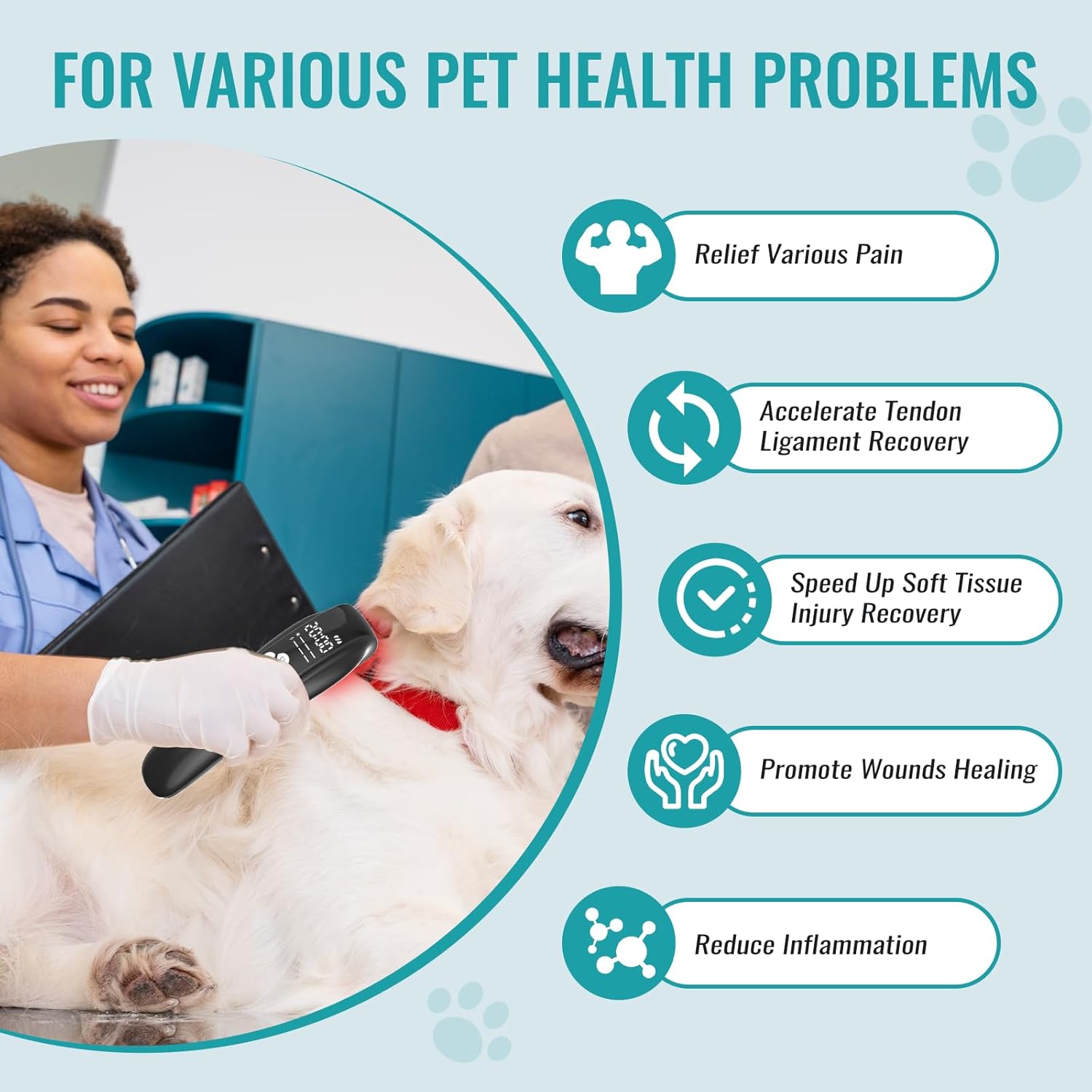 Infographic listing benefits: Relief Various Pain, Accelerate Tendon Ligament Recovery, Speed Up Soft Tissue Injury Recovery, Promote Wounds Healing, Reduce Inflammation