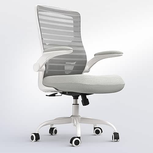 Office Chair for Long Hours & Lower Back Pain Relief