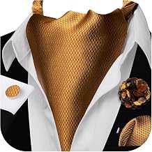 YOHOWA Ascot Tie Silk Cravat Paisley Scarf Self Ties Pocket Square Cufflinks Set Dress Wedding