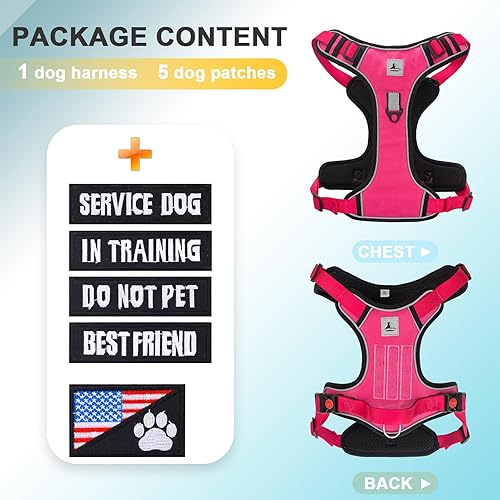 Miniatura 7 de TomteNisse Arnés para perro de servicio, arnés para mascotas sin tirones con 2 clips para correa, chaleco reflectante ajustable para perro sin