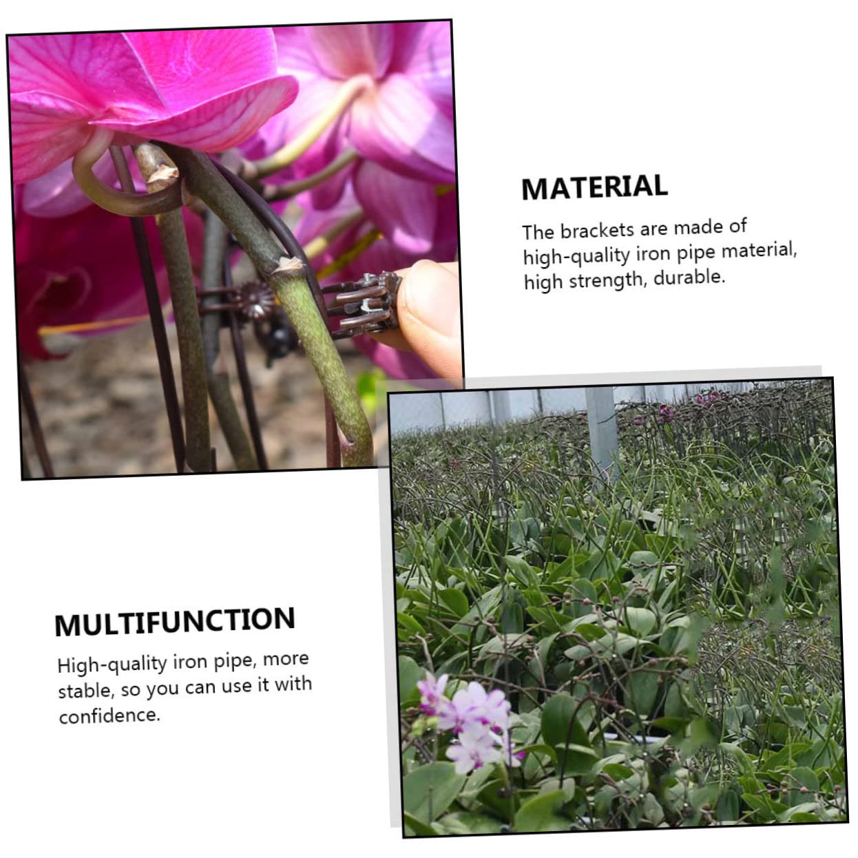 BESTonZON 2 Sätze Garten Clips Set Pflanzenfixierung Für Kletterpflanzen Wiederverwendbare Klammern Material Zur Unterstützung Pflanzenwachstums Für Orchideen Und Andere 20 Stück * 2