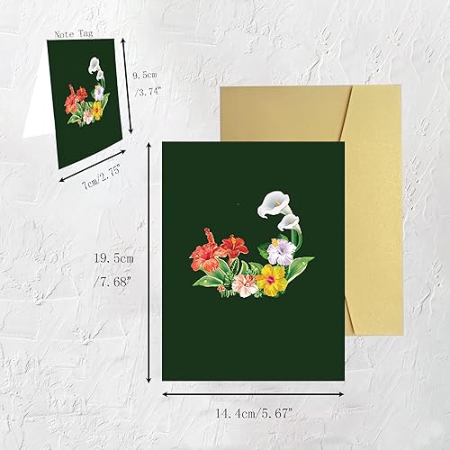 Miniatura 6 de Tarjeta de felicitación 3D desplegable con sobre y etiqueta de notas de 5.9 x 7.9 pulgadas, tarjetas para todas las ocasiones, tarjeta de colibrí