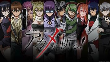 Akame Ga Kill Anime Fabric Cloth Rolled Wall Poster Print - Size 43" x 24" / 24" x 13"