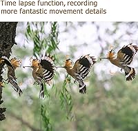 Vista 7 de Paquete de 3 cámaras Trail de 64MP 1296P con visión nocturna sin brillo y detección de movimiento, gran angular de 120°, tiempo de disparo de 0.1s