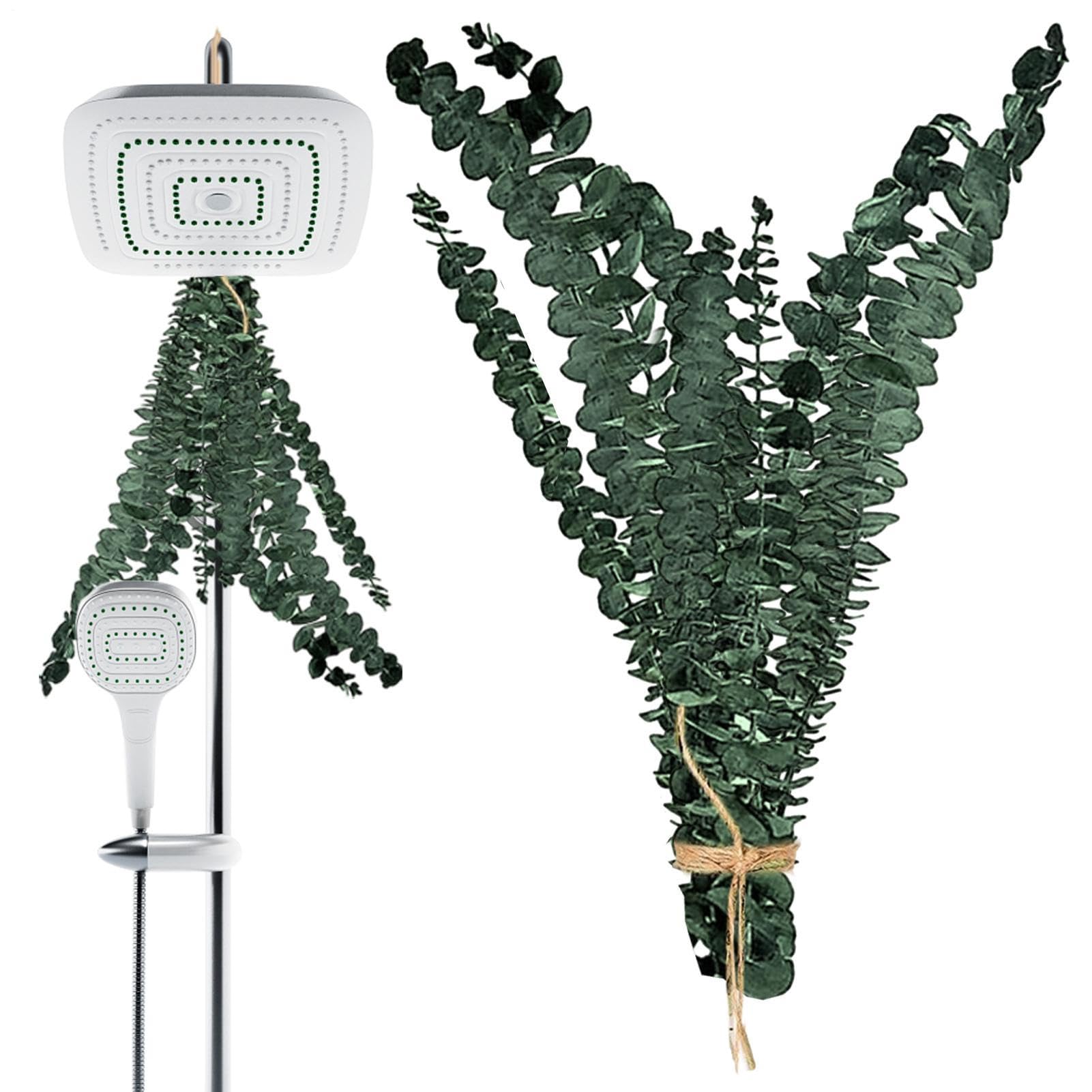 Eucalyptus pour la Douche | Tiges d'Eucalyptus Accessoires pour Douche 10
